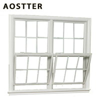 Ventana Corredera Simple de Vinilo con Color RAL Personalizado AOSTTER, con Soporte Técnico Profesional para Compras B2B