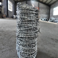 Alambre de Púas Galvanizado por Inmersión en Caliente |   Rollo de Alambre de Púas Recubierto de PVC Anti-Escalada para Cercas de Seguridad Perimetral