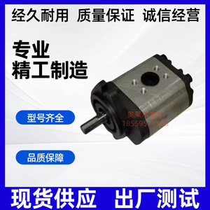 Pompe à engrenages hydraulique Fengchang EG-PBD 1 Stage Sac Installation Pompe à huile haute pression - Product Image 5