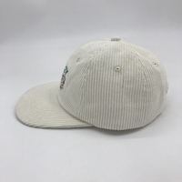 Borduurwerk Effen Snapback Cap Aangepast Laag Profiel Platte Rand Heren Sporthoed