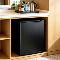 Mini-réfrigérateur thermoélectrique silencieux 30L à prix d'usine pour hôtel, chambre d'hôtel, appartement, maison