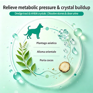 Suplemento <span class=keywords><strong>Natural</strong></span> a Base de Hierbas para la Salud Urinaria de Mascotas, para la Eliminación de Cálculos Renales y Vesicales, Soporte para Infecciones Urinarias en Perros y Gatos - Product Image 2