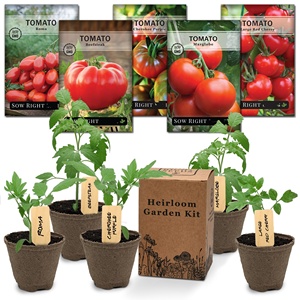 Cimelio 5 Non ogm Kit <span class=keywords><strong>per</strong></span> la coltivazione di pomodori da interno marcatori di vasi di fiori <span class=keywords><strong>terriccio</strong></span> <span class=keywords><strong>per</strong></span> applicazioni all'aperto ottimo <span class=keywords><strong>per</strong></span> l'agricoltura da giardinaggio - Product Image 1