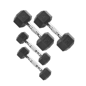 Kualitas Terbaik Perlengkapan Fitness/Perlengkapan Gym Fixed Rubber Coated Hex Dumbbell