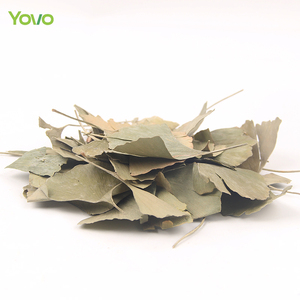 Té de hoja de <span class=keywords><strong>Ginkgo</strong></span> de hierba china seca Natural de alta calidad, <span class=keywords><strong>Ginkgo</strong></span> <span class=keywords><strong>Biloba</strong></span> seco para té, jabón para beber, vela, decoración artesanal - Product Image 4