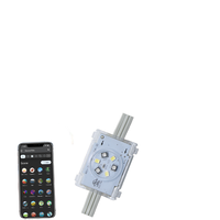 Lumières extérieures permanentes Ismart à changement de couleur compatibles Alexa et Google, module 30 mm, 12 V 24 V, IP68, pour la décoration de jardin