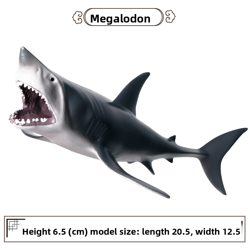 Requin Megalodon-4038