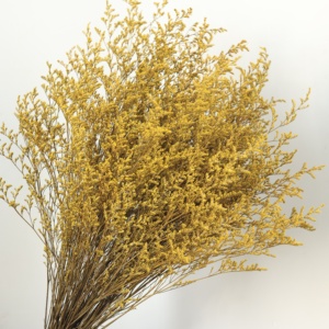 Herbe de Limonium Naturelle Préservée, Sans Nécessité d'Eau, Statice Séchée Éternelle, Décoration Bohème pour Mariage, Fête des Mères, Vase d'Intérieur - Product Image 3