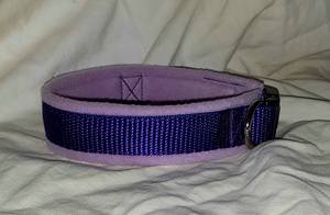 Standard Dog Collar With Wide Fleece Lining Adjustable - Lilac/<b>Purple</b> - Product Image 1