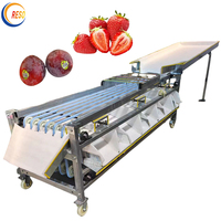 Mandarijn Oranje Draak Fruit En Groenten Gewicht Sorteren En Sorteren Machine