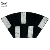 Disques de ponçage diamantés trapézoïdaux LITTLE ANT à 5 segments pour sols en pierre, ciment et béton dur, grain 400