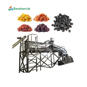 Hotsell Automatic Raisin Processing Line Industrial Plum and Prunes Washing and Redrying Machines