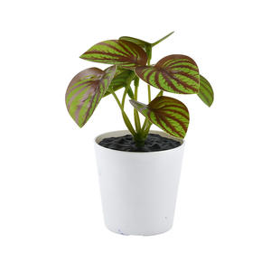 Plantas Artificiais de Plástico Ecológicas Pequenas Plantas Verdes em Vaso para Sala de Estar Hall de Entrada Armário de Vinho - Product Image 3