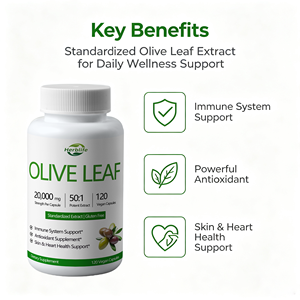 Capsules d'extrait de feuille d'olivier en marque privée OEM/ODM, 20% d'oléuropéine pour le soutien immunitaire, complément alimentaire antioxydant - Product Image 3