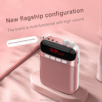Système de sonorisation S26 Pro filaire/Bluetooth pour enseignants/prêtres/guides touristiques - avec enregistrement, radio FM et haut-parleur ceinture