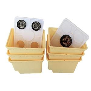 ชุดกล่องปลูกพืชสมุนไพรสำหรับสวนรากตื้นมี<span class=keywords><strong>เมล็ด</strong></span>พืชสมุนไพรทำอาหาร6ชนิด - Product Image 3