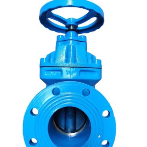 วาล์วประตูเหล็กดัดแบบแกนทองเหลืองยี่ห้อ Longyao Shuangyong รุ่น Z41T-10 16Q สำหรับน้ำ แบบก้านขึ้น โครงสร้างแข็งแรง - Product Image 1