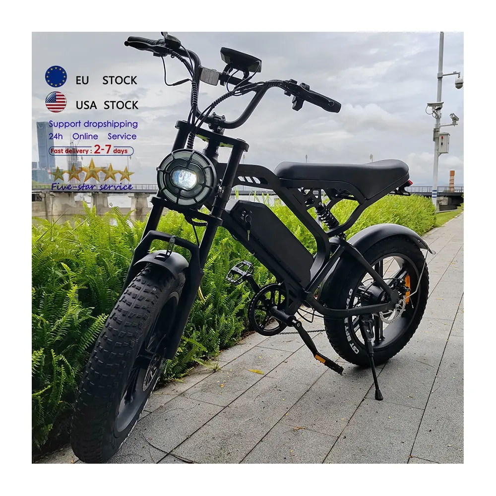 Fatbike V20 bicicleta eléctrica de largo alcance 250W transmisión por correa ebike cuadro de bicicleta EU V20
