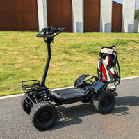 Carro de Golf Plegable de 4000W a Precio de Fábrica, Mini Carro de Golf de 1 Plaza, Buggy de Golf 60V 4x4, Vehículo Utilitario de 1 Plaza, Carro de Golf Eléctrico de 4 Ruedas