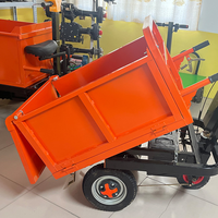 Camión fertilizante agrícola de tres ruedas Carro de empuje manual Carro eléctrico Triciclo con tolva para cenizas