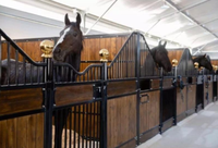 Écurie pour chevaux en panneaux de bambou robustes OEM ODM avec mangeoire