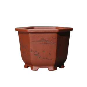 Maceta Hexagonal de Zisha, Maceta Zhuni Dahongpao para Bonsái, Maceta Pequeña Mi Tao Xiang con Tallado de Flores y Pájaros, Maceta del Artista Su Bing - Product Image 5