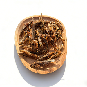 Sauterelles séchées <span class=keywords><strong>comestibles</strong></span> sans hormone, protéines d'<span class=keywords><strong>insectes</strong></span> à absorption élevée pour l'<span class=keywords><strong>alimentation</strong></span> animale et la consommation humaine - Product Image 2