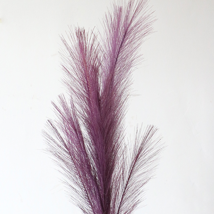 สีม่วง
