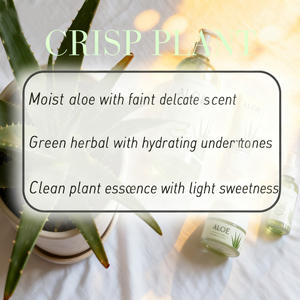 Concentré de saveur <span class=keywords><strong>d</strong></span>'<span class=keywords><strong>aloe</strong></span> <span class=keywords><strong>vera</strong></span> de qualité alimentaire supérieure - Liquide/<span class=keywords><strong>poudre</strong></span> hydrosoluble thermiquement stable pour boissons, produits laitiers et confiseries - Product Image 2