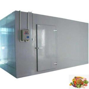 Chambre de réfrigération de poissons de supermarché congélateur de plain-pied chambre froide chambre froide congélateur - Product Image 5