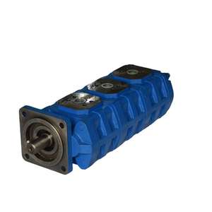 Pompe hydraulique à double engrenage Huamao, très vendue, de bonne qualité - Origine Shandong, garantie 1 an, machines testées et inspection vidéo - Product Image 2