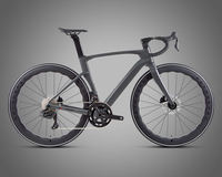 Premium 24-Gang Elektro-Schalt-Hardtail-Rennrad mit hydraulischer Scheibenbremse, Carbonfaser-Felgen und Carbon-Lenker der TX-Serie