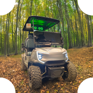 CE Aprobado Club Car 6 Asientos Caza Carros de golf eléctricos - Product Image 4