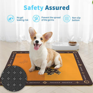 Alfombra Refrigerante de Seda de Hielo para Mascotas, Rectangular, 40x40cm, 45x45cm, 50x50cm, Antideslizante, Lavable, con Diseño de Dibujos Animados - Product Image 5