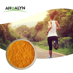 Manufacturer supply Coenzyme q10 Powder 98% for health food Q10