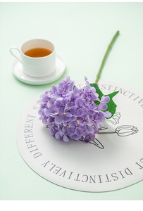 Dài Thân Cây Cao Su Nhân Tạo Tú Cầu Giá Rẻ Lụa Tú Cầu Cho Khách Sạn Trang Trí Sân Vườn Cho Halloween Tốt Nghiệp Ngày Của Mẹ - Product Image 5