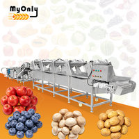 Chaîne de lavage, séchage et cirage automatique MY pour ananas, pommes, légumes et fruits