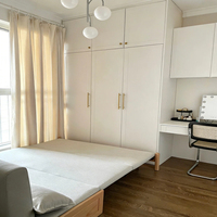 Lit Tatami Personnalisé de Luxe Léger et Armoire Walk-in, Panneaux Non Toxiques