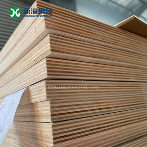 Panneau Commercial en Contreplaqué <span class=keywords><strong>Okoumé</strong></span> à Noyau Peuplier Xingang Group, Qualité BB/CC, Épaisseur 3mm-25mm, Vente en Gros - Product Image 4