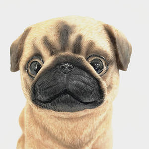 Estatua <span class=keywords><strong>de</strong></span> resina para perro <span class=keywords><strong>pug</strong></span> - Product Image 2