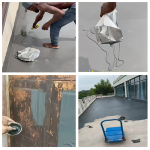 Revestimiento <span class=keywords><strong>de</strong></span> Silicona <span class=keywords><strong>de</strong></span> Alta Resistencia a los Rayos UV, Antienvejecimiento, Resistente a la Intemperie, <span class=keywords><strong>para</strong></span> Metal, Cemento, <span class=keywords><strong>Tejas</strong></span>, <span class=keywords><strong>Membrana</strong></span> Impermeabilizante Líquida - Product Image 5