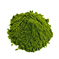 Hyrox Oxyde de Fer Vert Fe2O3 835 Poudre Pigment à Forte Force Teintante pour Revêtements et Béton 25kg/sac