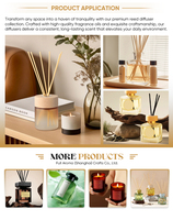 Diffuseur de parfum en céramique avec bouteille double boule Morandi et bâtonnets assortis, personnalisation artistique acceptée, parfum sur mesure, désodorisant d'intérieur