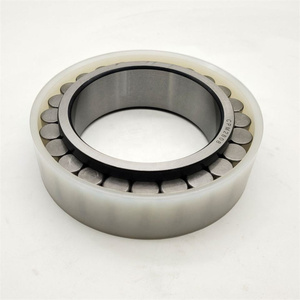 Hot Reducer Gearbox Hydraulic Pump Bearing F-59711 Full Complement Cylindrical Roller Bearings <strong>CPM</strong> 2650 CPM2729 F-559465 Bearing - Product Image 6