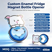 Kijkje-op-de-koelkastmagneet van zinklegering, kattenvormig, blauw verloop emaille, zilveren rand, sterke magneet, 2-in-1, voor keuken, huis en bar.