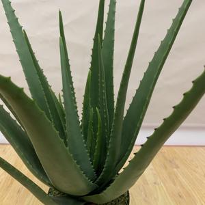 Venta caliente árbol hecho a mano en macetas Aloe <span class=keywords><strong>Vera</strong></span> plantas artificiales para decoración del hogar Decoración interior al aire libre Oficina aire fresco - Product Image 4