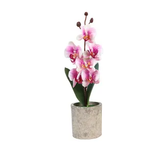 Escritório Em Casa Decorações De Flores Artificiais Coloridas Orquídea Vivid Flores Phalaenopsis Bonsai