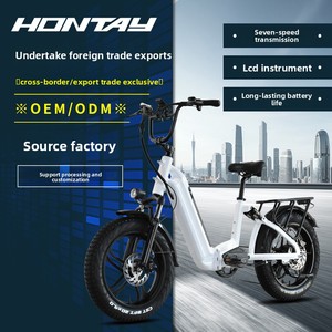Scooter/Motocicletta Elettrica a Due Ruote con Pneumatici Larghi da 20 Pollici, Motore Brushless, Batteria al Litio da 20Ah, Sospensione Soft-tail Esclusiva - Product Image 2