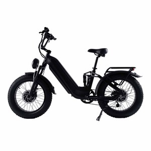 Bicicleta Eléctrica con Llantas Gruesas de 20*4.0, Batería de 60V 30Ah, Motor Dual de 2000W, Frenos de Disco Hidráulicos, D2-20-2, Bicicleta con Doble Motor D2-20- - Product Image 2
