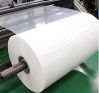 Film isolant en PET Mylar de classe E haute température 120 6020/6021 pour moteur et transformateur, épaisseur 0,025-0,35 mm, largeur 10-3000 mm, haute qualité